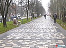 В Волгограде стартовала реконструкция парка вдоль проспекта Металлургов